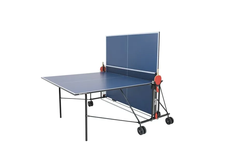 שולחן פינג פונג פנים Champion100