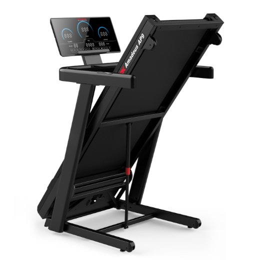 York Amadues מסלול ריצה