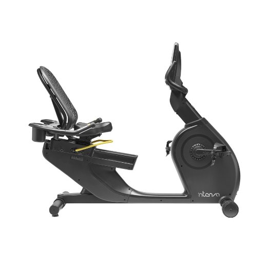 אופני כושר מקצועיים כולל משענת גב דגם 550Re2 מבית INTENZA